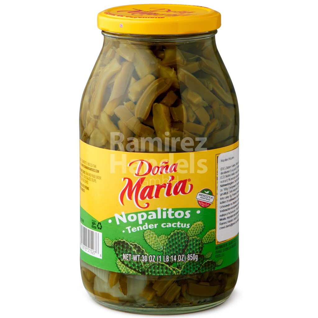 [MX0916] Kaktus in Streifen Nopales Dona Maria 850 g