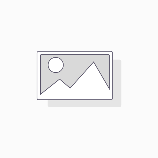 Pacifico Bier Suave (aus Mexiko) 355 ml Dose
